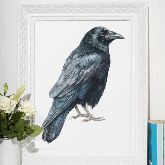 Watercolor Black Crow Wall Art Print Unframed - Black Bird Illustration Artwork - Picture 6 of 6
